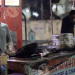 Fried Momos - Log, Colour and B&W