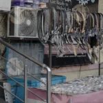 Belt Cart - Log, Colour and B&W