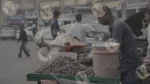 Waterchesnut/Chat/Golgappa/Paani Puri- Log, Colour and B&W - Image 3