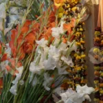 Flowers on a stall - Log, Colour and B&W
