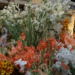 Mogra, Lily and Marigold Flowers - Log, Colour and B&W