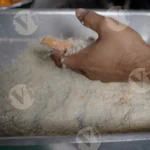 Gluten Sticks & Breadcrumbs - Log, Colour and B&W