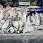 Fish Market - Log, Colour and B&W