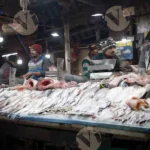 Fish Market - Log, Colour and B&W