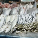 Fish Market - Log, Colour and B&W