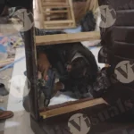 Putting nail on sofa - Log, colour and B&W