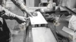Applying tape on a Wood - Log, colour and B&W - Image 2