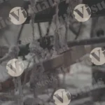 Mop making machine - Log, colour and B&W