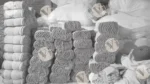 Bundles of mop (pocha) - Log, colour and B&W - Image 2