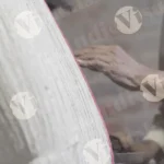 Making mop - Log, colour and B&W