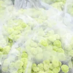 Chrysanthemum morifolium, also known as florist's daisy or hardy garden mum. (Guldaudi) - Log, colour and B&W