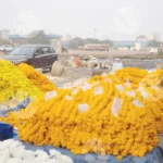 Organizing and preparing marigold garlands - Log, colour and B&W
