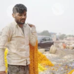 Man arranging flowers in a flower market - Log, colour and B&W