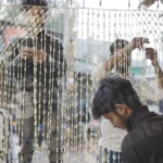 Timelapse for making flower sheets - Log, colour and B&W