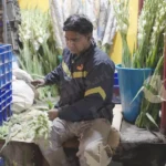 Man cutting stick of flowers - Log, colour and B&W