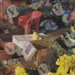 Man packing flowers - Log, colour and B&W