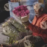 A man cuts and flower stalks - Log, colour and B&W