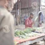 workers are tying bundles of flowers - Log, colour and B&W