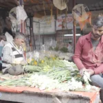 Tuberose flowers - Log, colour and B&W