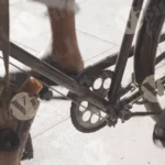 Paddling a bicycle - Log, colour and B&W