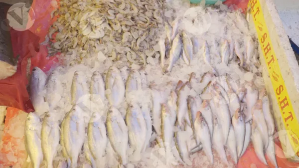 C0376FishMarketCLRWM result