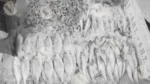 Fish in market - Log, colour and B&W - Image 2