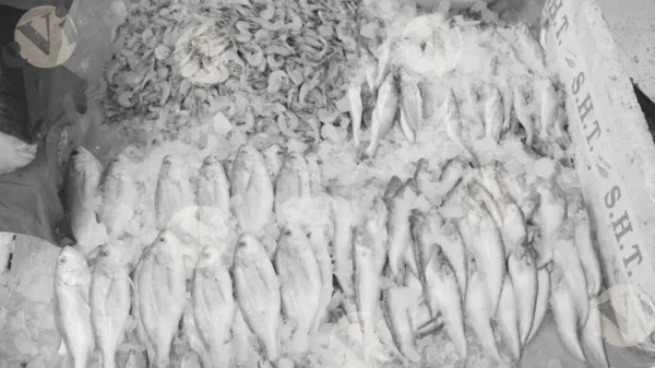 C0376FishMarketMCWM result