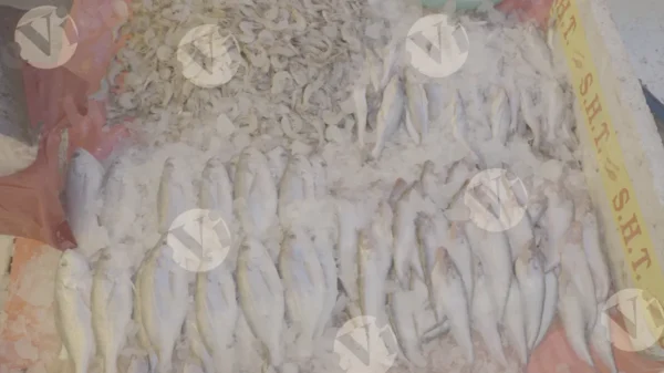 C0376FishMarketSlogWM result
