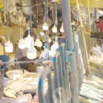 Local Fish Market - Log, colour and B&W