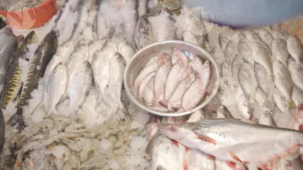 C0389FishMarketCLRWM result