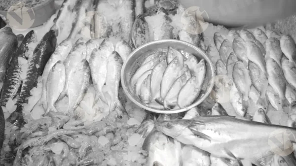 C0389FishMarketMCWM result