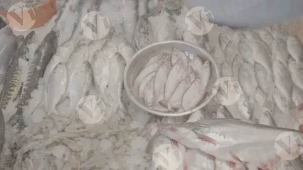 C0389FishMarketSlogWM result