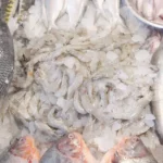 fresh seafood, including fish and shrimp - Log, colour and B&W