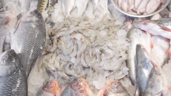C0390FishMarketCLRWM result