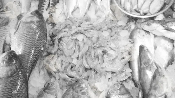 C0390FishMarketMCWM result