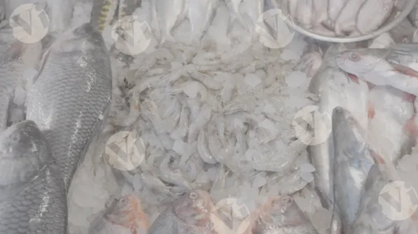 C0390FishMarketSlogWM result
