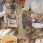 Cutting fish into pieces - Log, colour and B&W