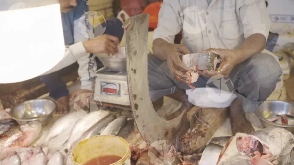 C0399FishMarketCLRWM result