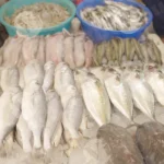 Indian Mackerel Fish - Log, colour and B&W