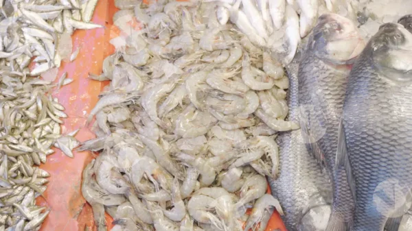 C0413FishMarketCLRWM result