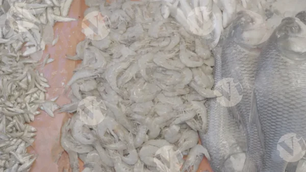 C0413FishMarketSlogWM result