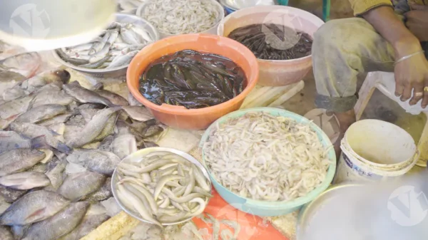 C0416FishMarketCLRWM result