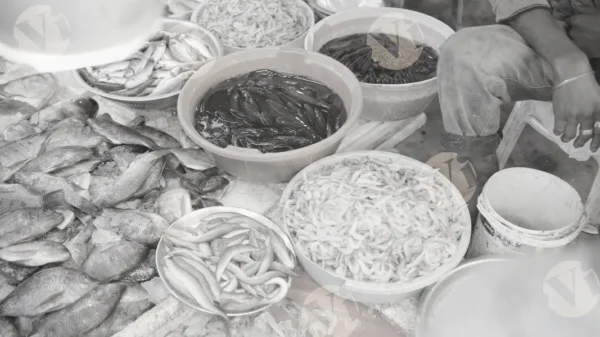 C0416FishMarketMCWM result