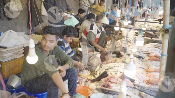 C0371FishMarketCLRWM result