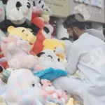 Selling a Variety of Stuffed Toys - Log, colour and B&W