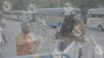A Man using a feathers Duster to Clean - Log, colour and B&W - Image 3