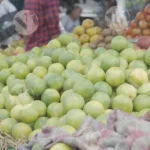 Oranges - Log, colour and B&W