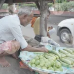 Old Man is Arranging Vegetables for Selling - Log, colour and B&W