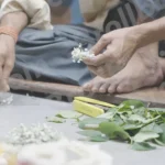 A Person Working with Gypsophila, also known as Baby's Breath - Log, colour and B&W