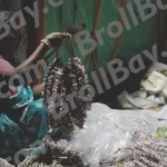 Arranging flower Garlands - Log, colour and B&W